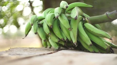 Bananas take from table Video stock 50231653