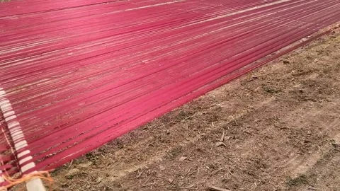 Banarasi saree silk thread 1  Stock Footage 252866522