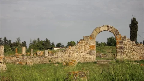 BANASA Stock Footage 91879991