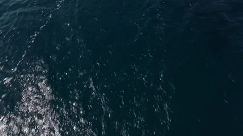 Banca Immagini SUB 動画素材 200428147