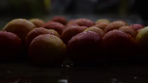 Banch of Tomatoes in Rain Stock Footage 158669674