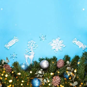 Banches of pine tree on blue background Stock Photos