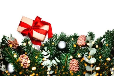 Banches of pine tree. Gift in recycable wrapping. Stock Photos