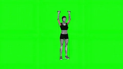 Band Behind Neck Shoulder Press female fitness gym exercise workout animation mu Vidéo 247707754