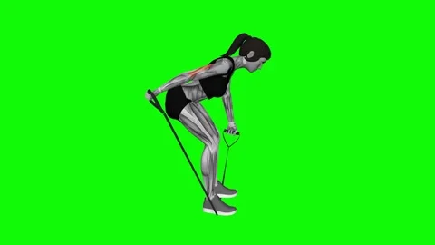 Band Bent over One Arm Kickback female fitness gym exercise workout animation mu Stockbeeldmateriaal 247707757