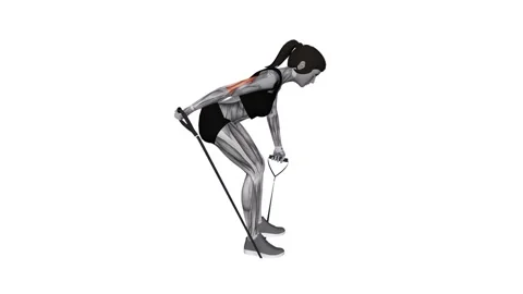 Band Bent over One Arm Kickback female 1 fitness gym exercise workout animation  動画素材 247708329