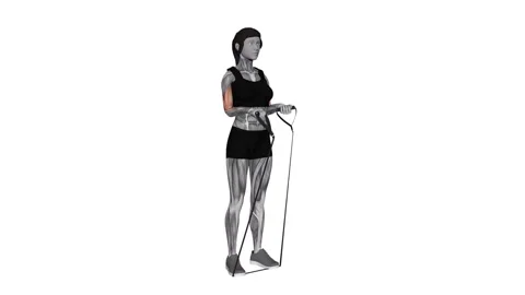Band Close-Grip Biceps Curl female 1 fitness gym exercise workout animation musc Vídeos de archivo 247708344