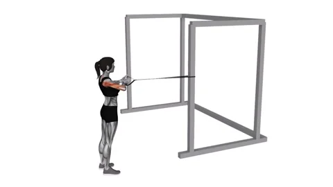 Band Close Grip Row female 1 fitness gym exercise workout animation muscle highl Vidéo 247708341