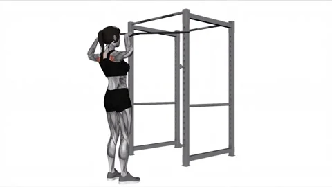 Band Face Pull female 1 fitness gym exercise workout animation muscle highlight Vidéo 247708367