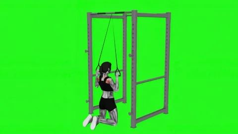 Band keeling lat pulldown female fitness gym exercise workout animation muscle h Video stock 247707358