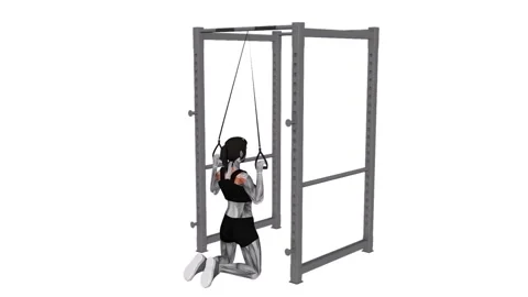Band keeling lat pulldown female 1 fitness gym exercise workout animation muscle Vídeos de archivo 247707359