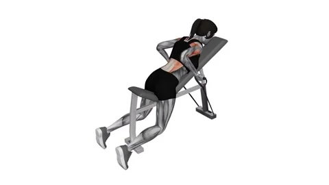 Band Lying Reverse Grip Row female 1 fitness gym exercise workout animation musc Vídeos de archivo 247707400