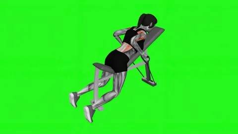 Band Lying Reverse Grip Row female fitness gym exercise workout animation muscle 库存影片 247707402