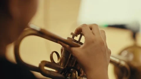 The band is playing cello and drums Stock Footage 319541035