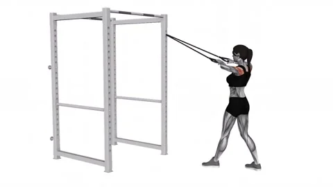 Band standing rear delt row female 1 fitness gym exercise workout animation musc Vídeos de archivo 247707463