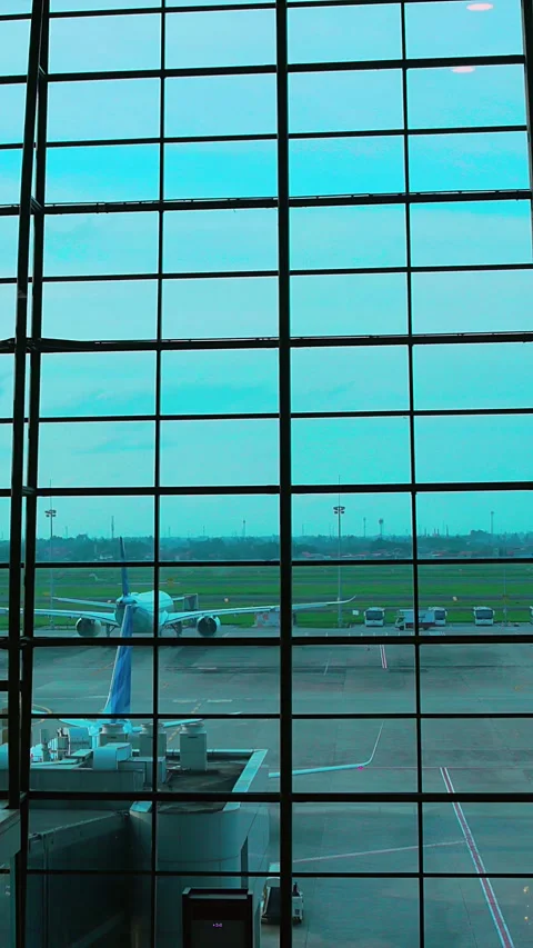 Bandara (Portrait) Stock Footage 331333703