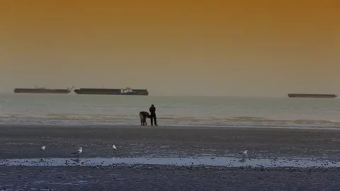 BandarAbbas Stock Footage 294905685