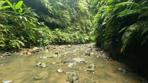 Bandarban Stock Footage 257316447