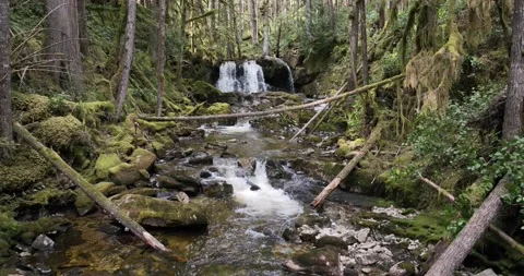 Bandit falls Stock Footage 181760855