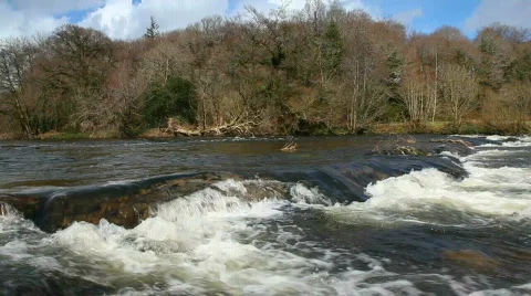 Bandon River Video stock 670638