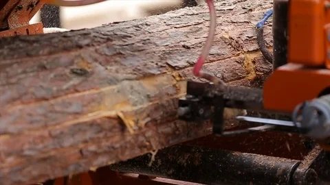Bandsaw cut boards from pine. Close up Stock Footage 72681292