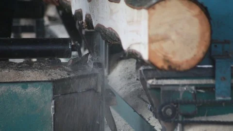 Bandsaw Sawmill Trimming Stock Footage 72292661