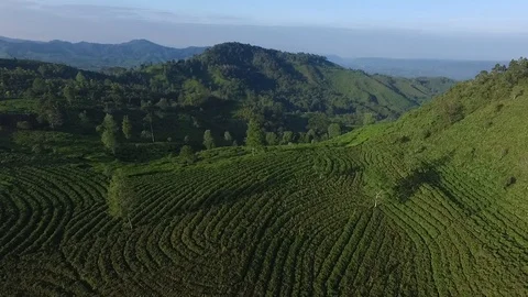 Bandung 動画素材 100334804