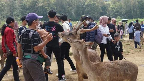 Bandung, West Java, Indonesia, May 7, 2022, Tourists enjoy the atmosphere o.. Stock Photos
