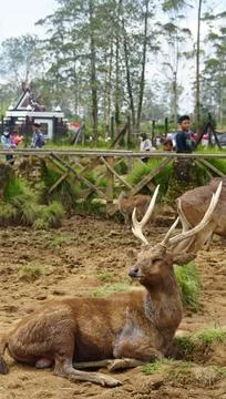 Bandung, West Java, Indonesia, May 7, 2022, Tourists enjoy the atmosphere o.. Stock-Fotos