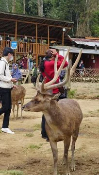 Bandung, West Java, Indonesia, May 7, 2022, Tourists enjoy the atmosphere o.. Stock-Fotos