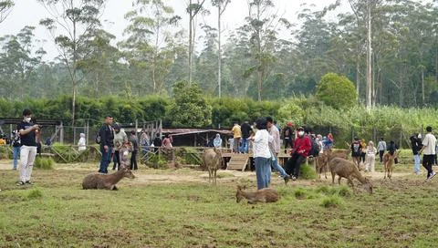 Bandung, West Java, Indonesia, May 7, 2022, Tourists enjoy the atmosphere o.. Stock Photos
