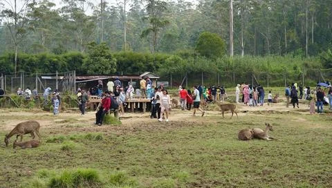 Bandung, West Java, Indonesia, May 7, 2022, Tourists enjoy the atmosphere o.. Stock-Fotos