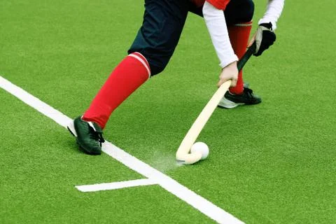 Bandy on a grass Stock Photos