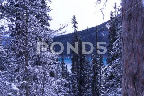 Banff, Canada, 10-26-2019: Lake Louise seen on winter day behind forest Stock-Fotos