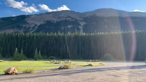 Banff Canada September 03 2024 Resting area along the Icefields Parkway 動画素材 343326678