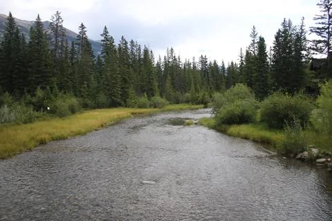 Banff Mountain Stream Stock Photos