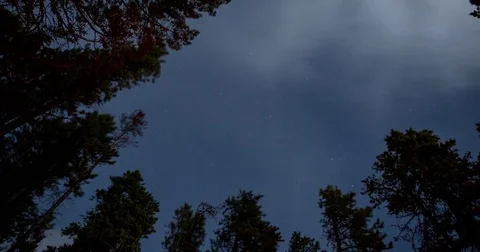 Banff Nationalpark, AB, Canada - starry sky with treetops - Timelapse zoom in Stock Footage 75284392