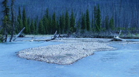 Banff Park river island forest P HD 7377 Stock Footage 844130