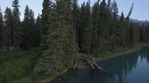 Banff Row River Stock Footage 255673344