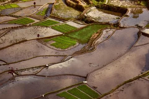Banga-an rice terraces. Stock Photos