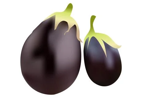Bangan vegetable vector design on white background Stock Illustration