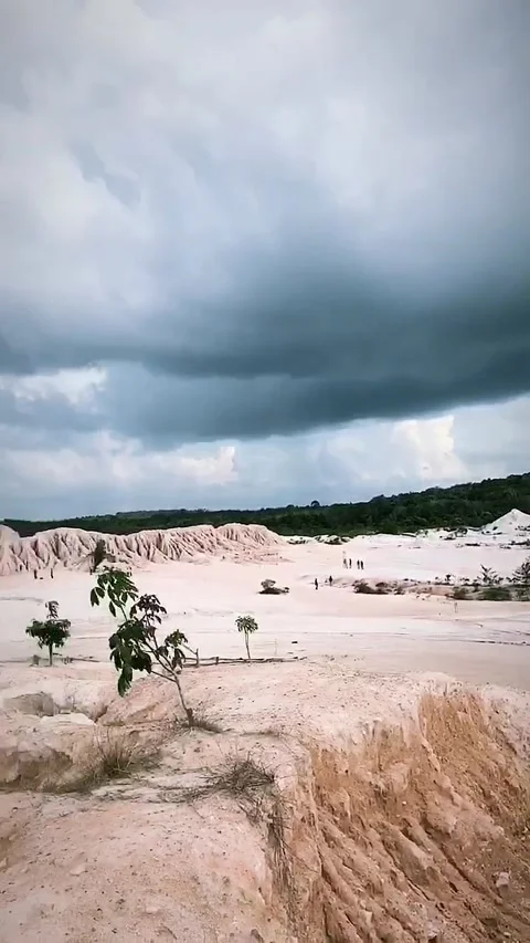 Bangka Nature Stock Footage 225896518