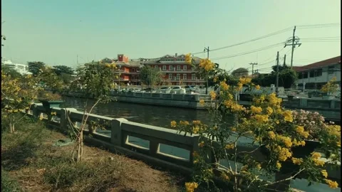 Bangkok canals Stock Footage 149136036