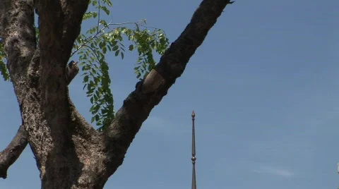 Bangkok landscape Stock Footage 574565