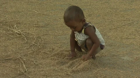 Bangladesh Stock Footage 58768183
