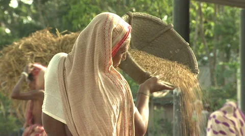 Bangladesh Stock Footage 58768193