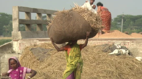 Bangladesh Stock Footage 58768194