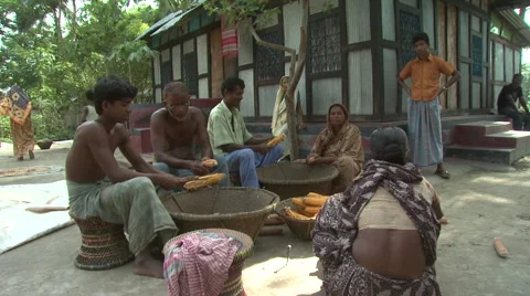 Bangladesh Stock Footage 58768267
