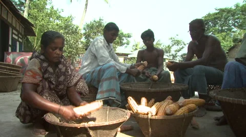 Bangladesh Stock Footage 58768268