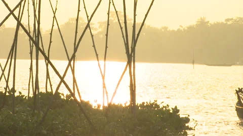 Bangladesh Stock Footage 58768277